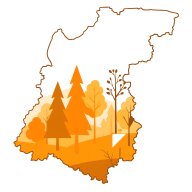 Нижегородская осень 2025 Нижегородская осень 2025